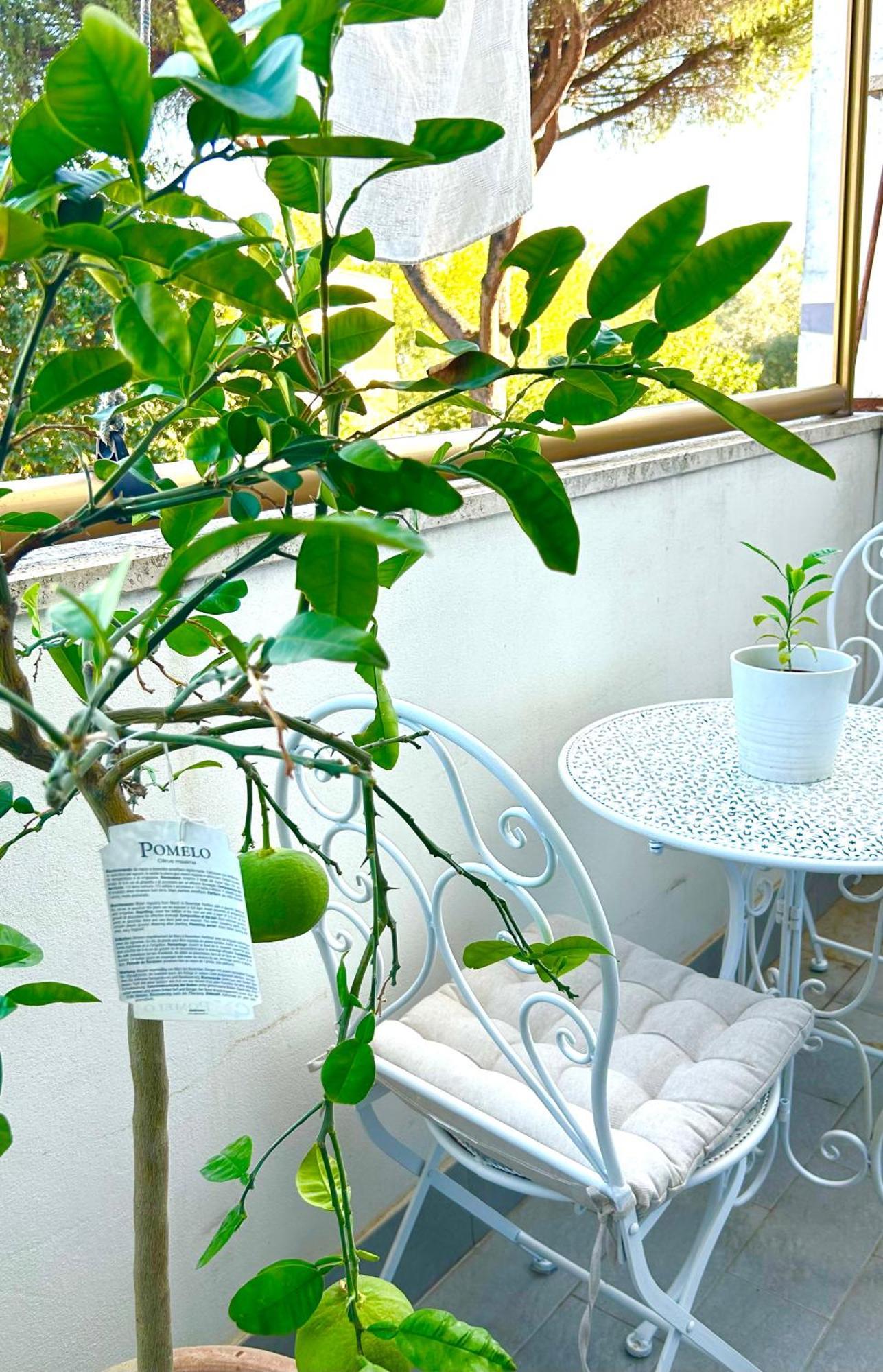 Italian Luxury Apartment Rome