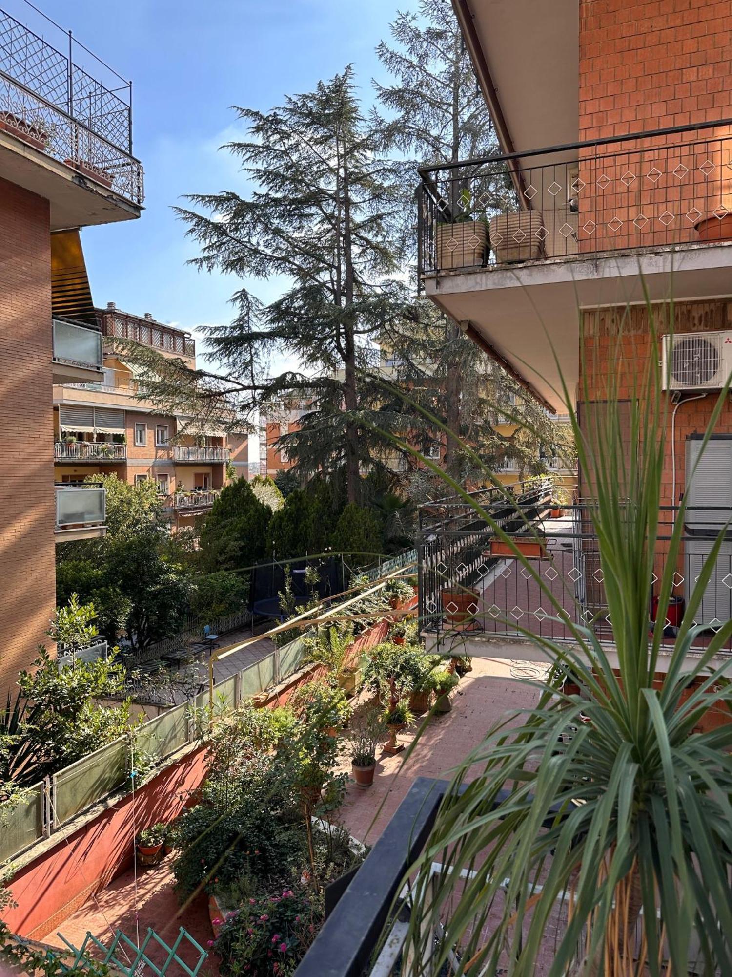 Hospedagem domiciliar Pamphili House