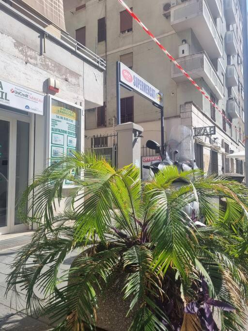 Casa Intera Vicino Il Centro Per 3 Persone Appartement
