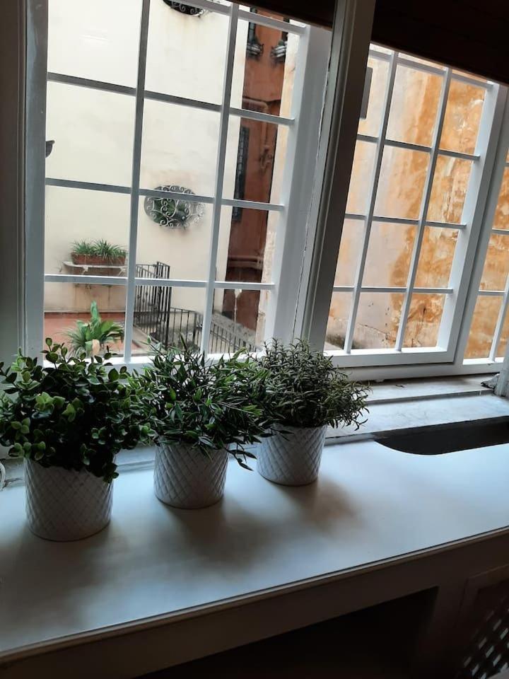 Charming Loft In Piazza Di Spagna *