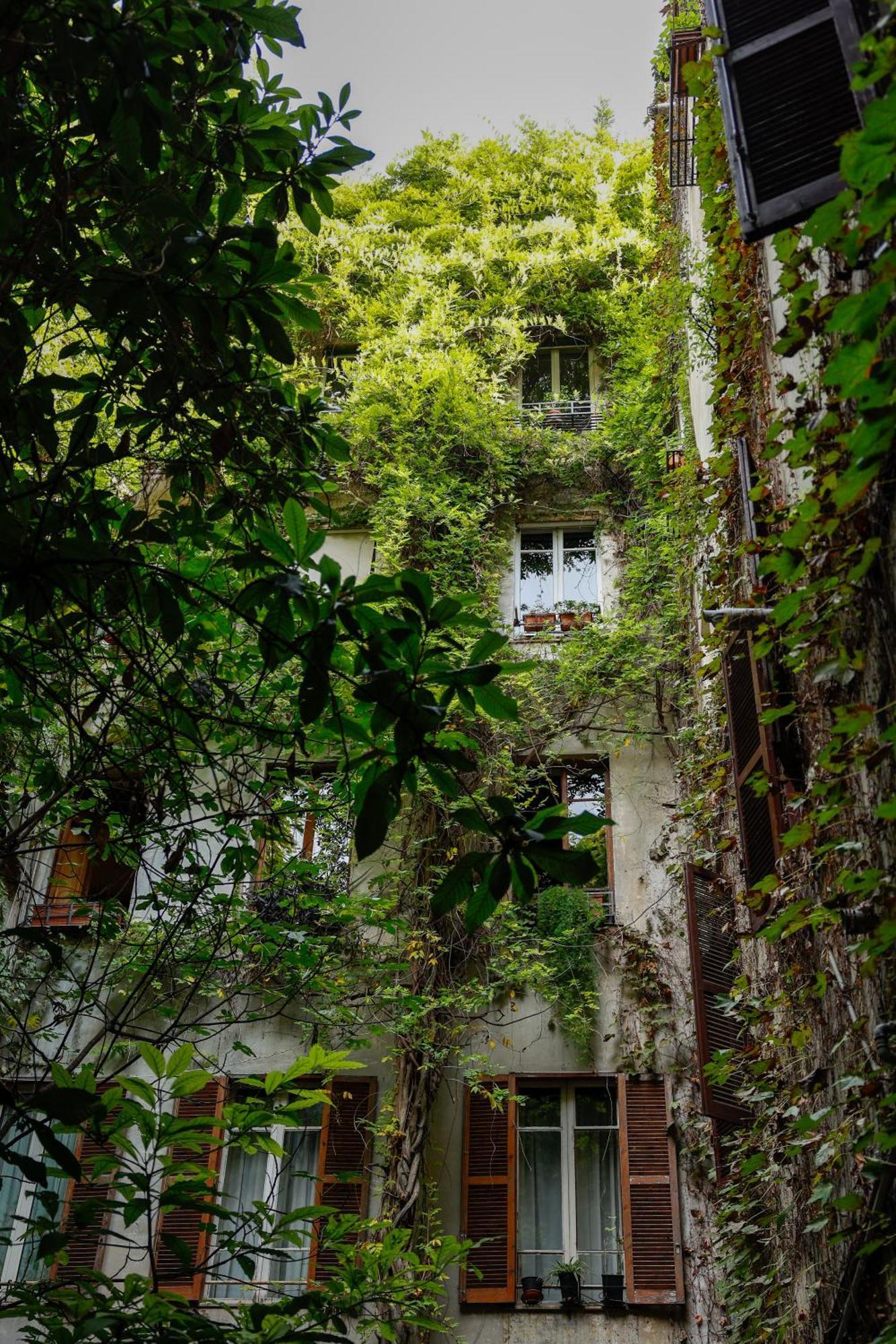 Residenze Romanae- Riari House *
