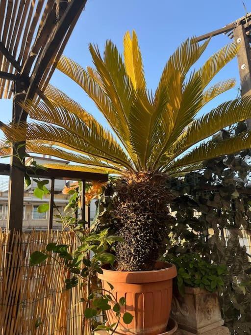 Appartement Da Giorgio E Teresa - Attico Con Terrazza A Piazza Del Popolo *