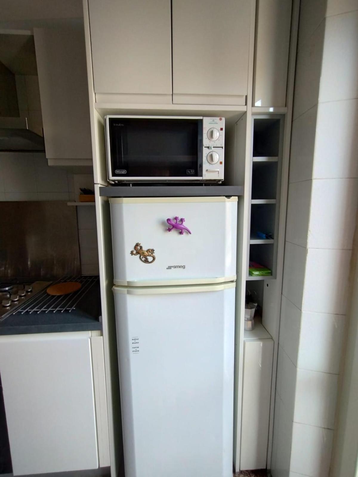 Appiolatino Il Geco * Roma