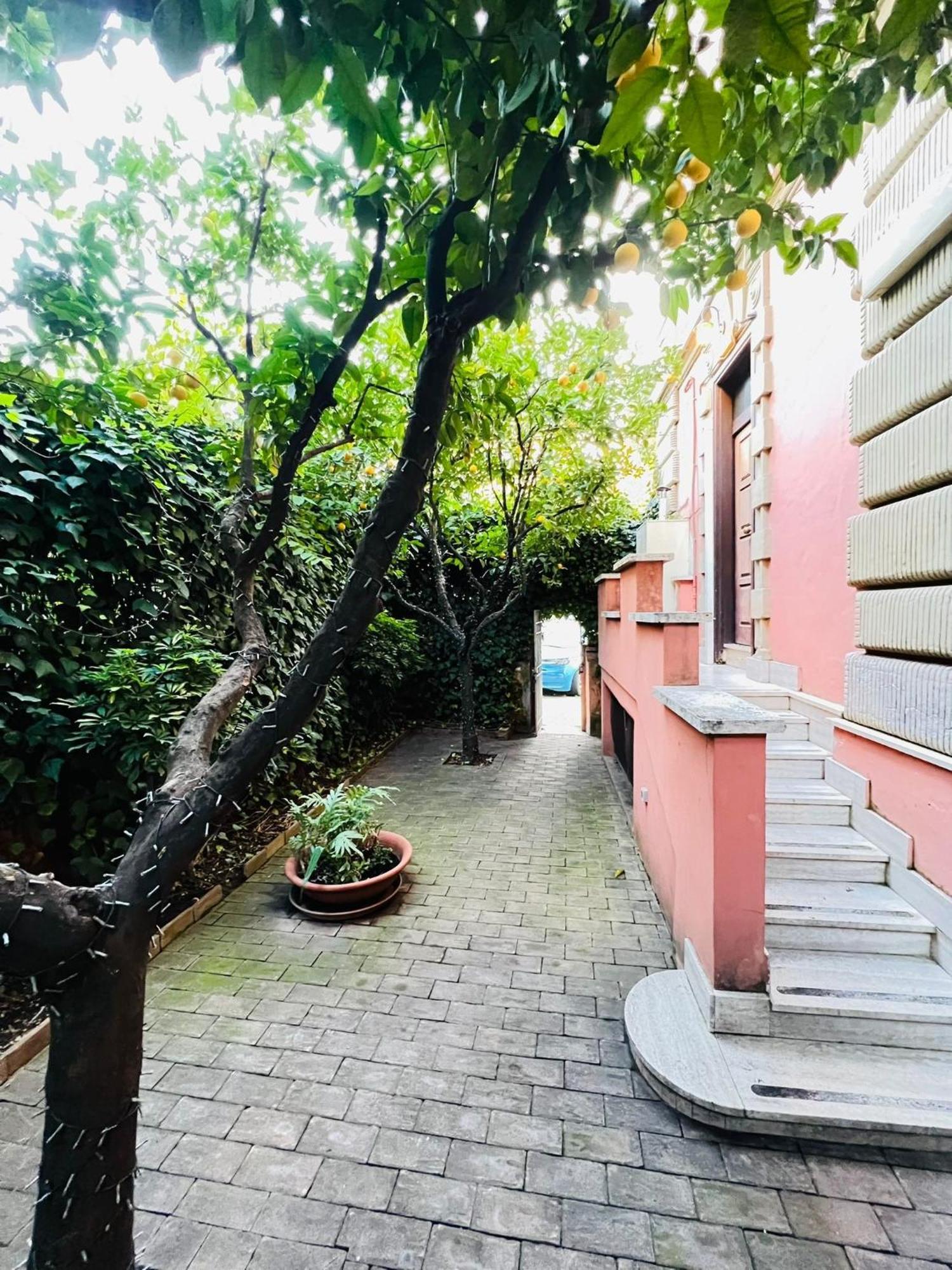 Orange Garden