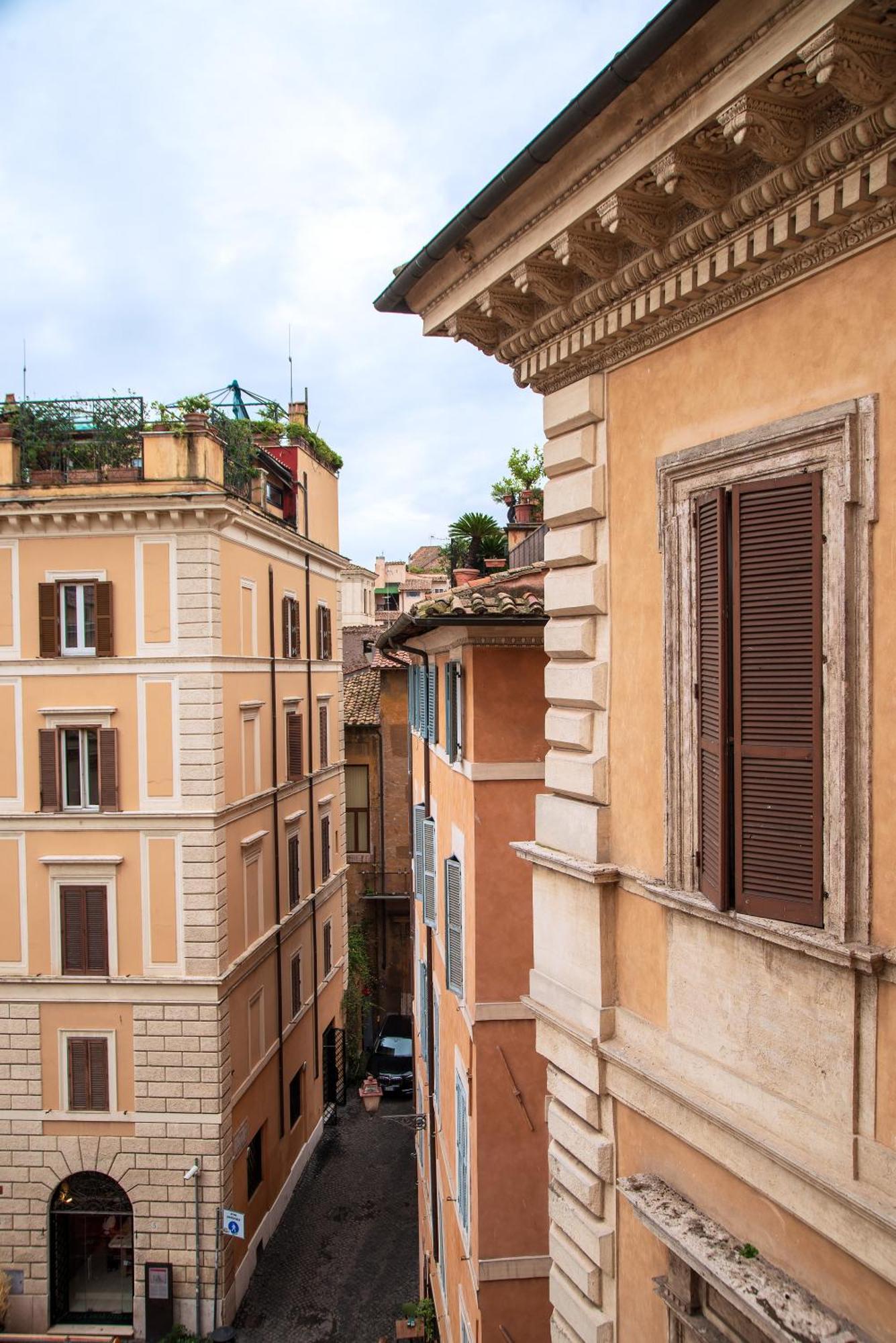 Il Sogno Delle Tartarughe *