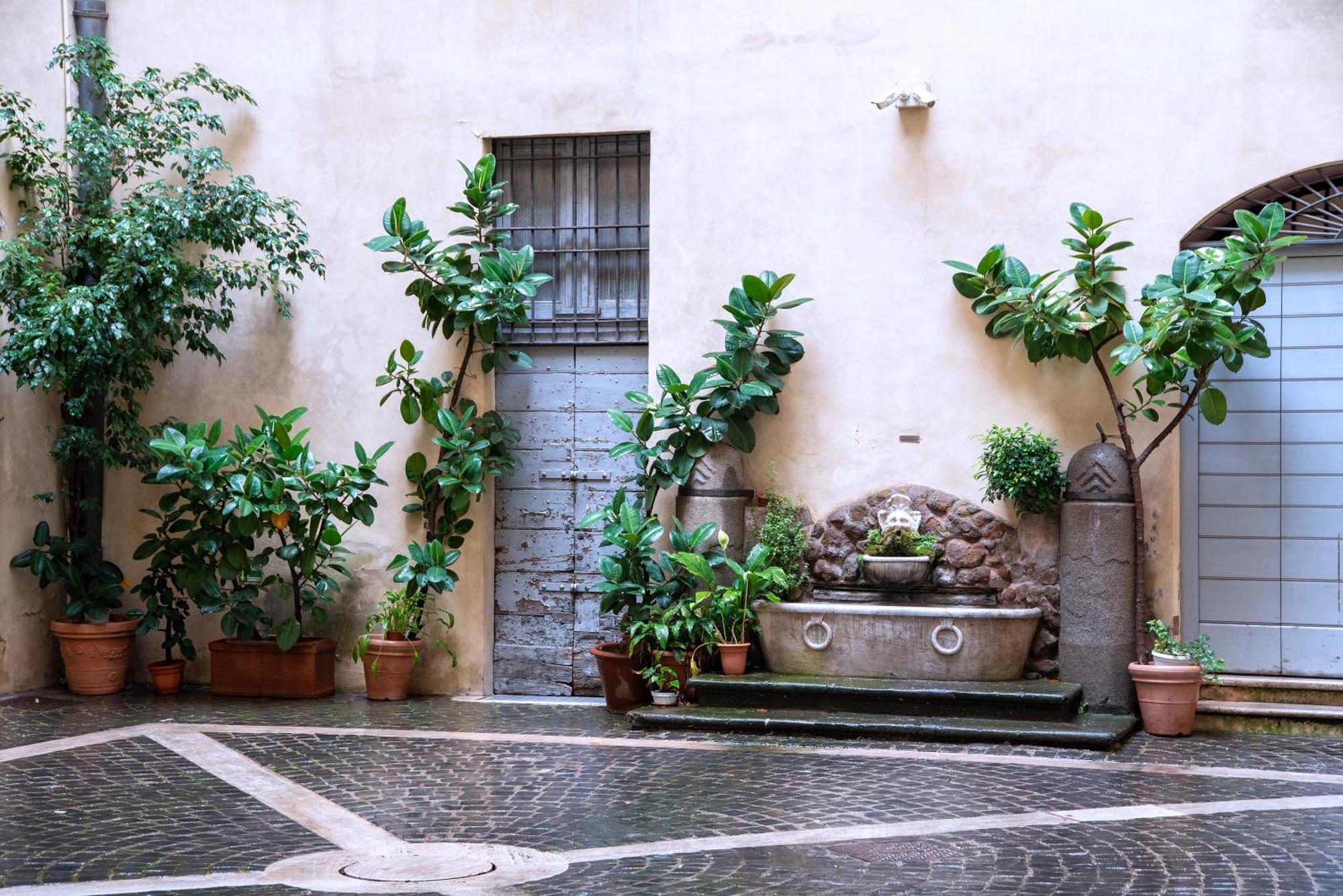 Il Sogno Delle Tartarughe Apartment Rome