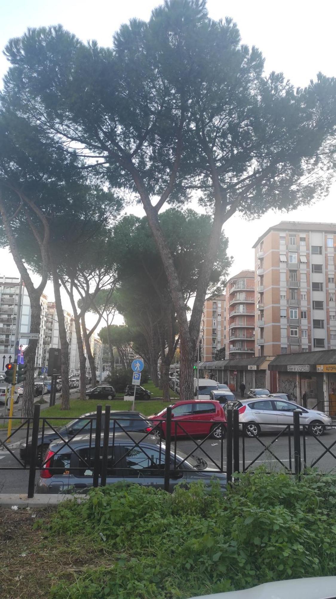 Apartment Vimercati 45 *