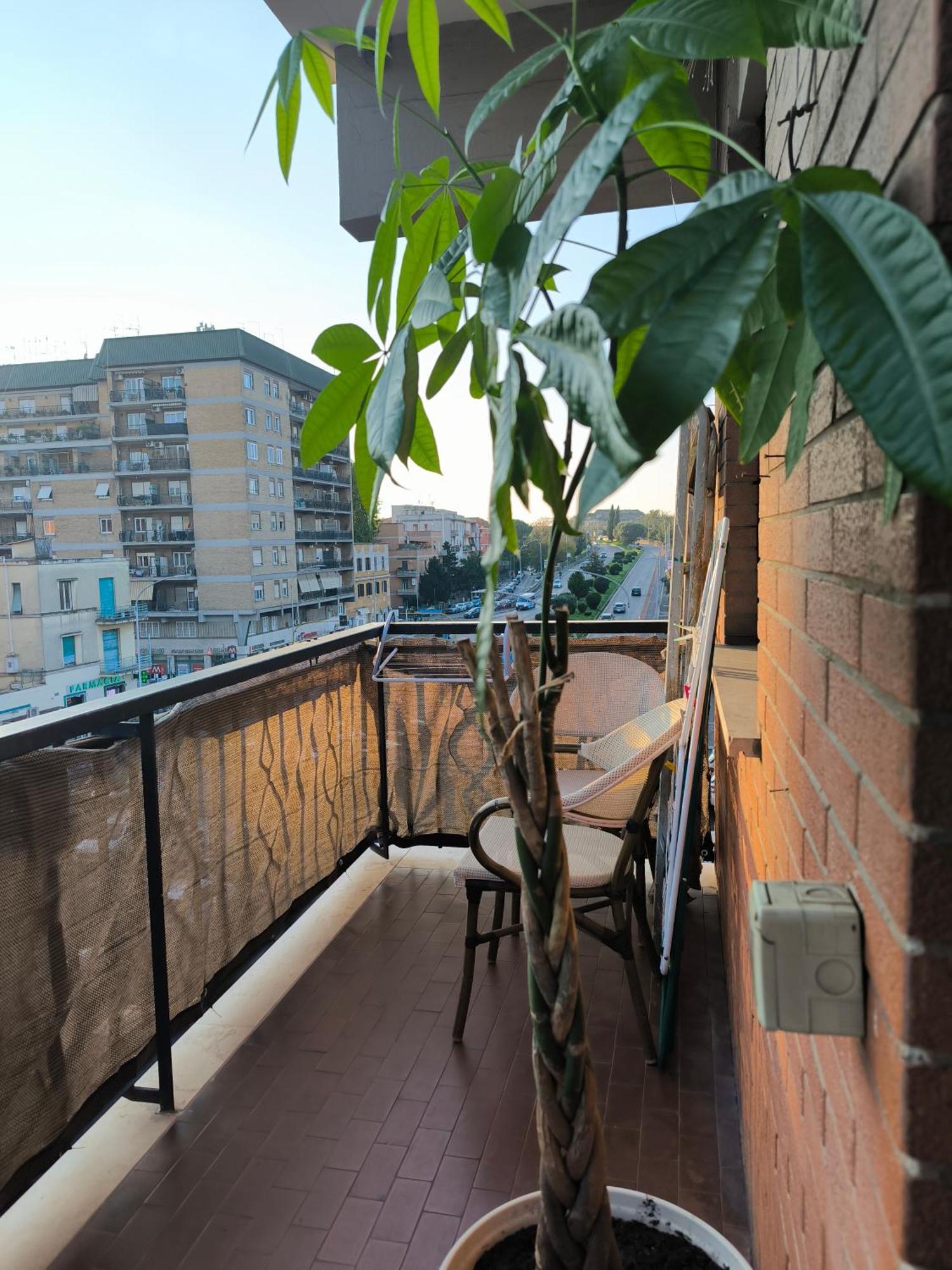 Appartement The Italian House In A Pochi Passi Dalla Metro A Rome