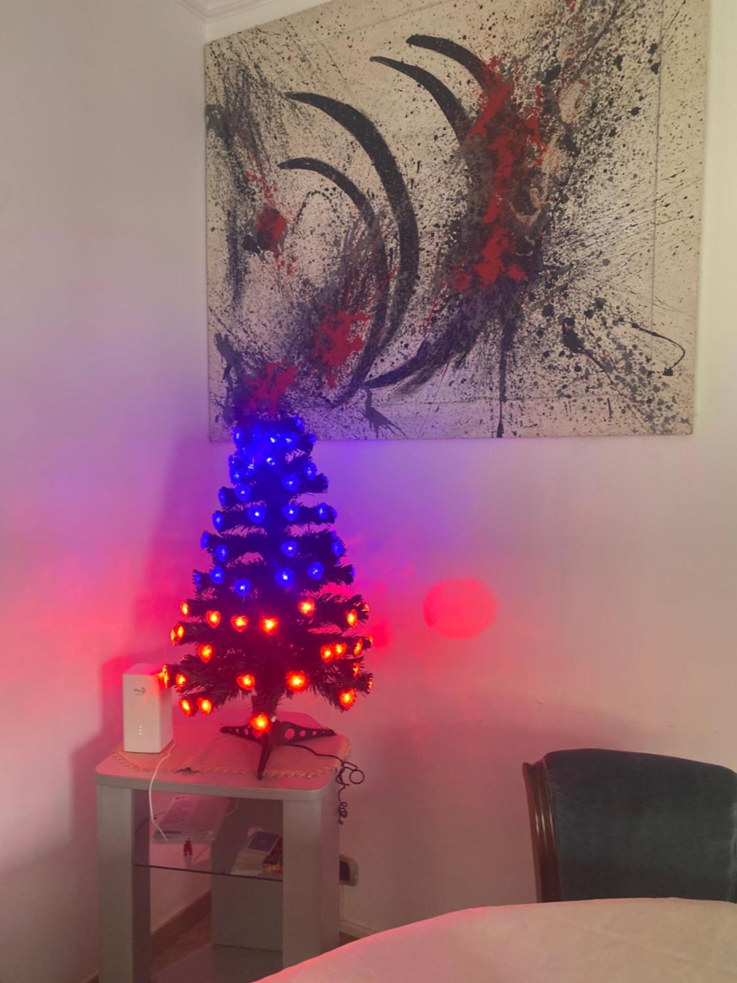 Appartement Casa Colibri