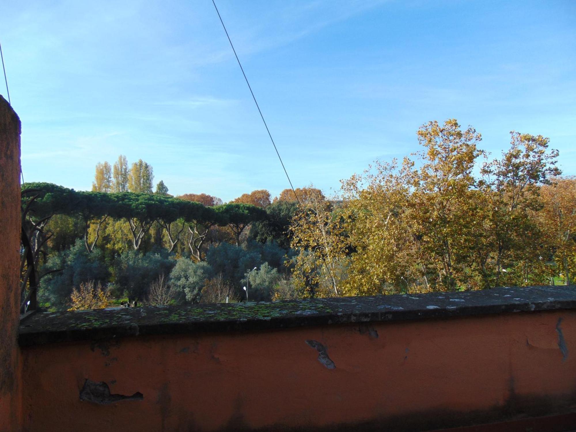 Homestay Circo Massimo Rome