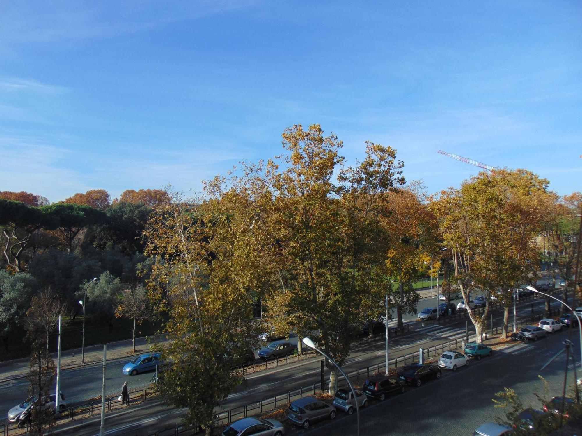 Circo Massimo Homestay *