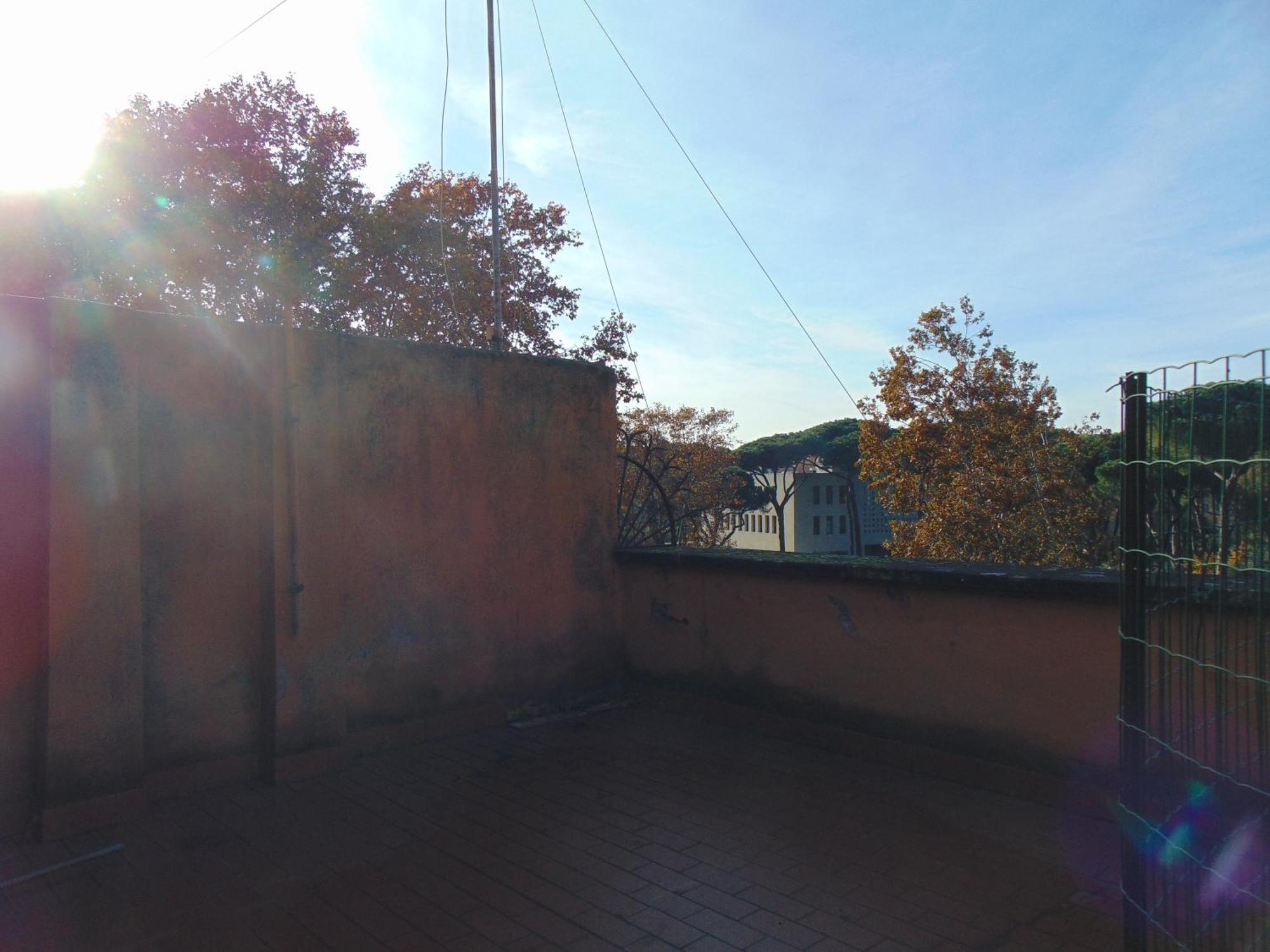 Homestay Circo Massimo