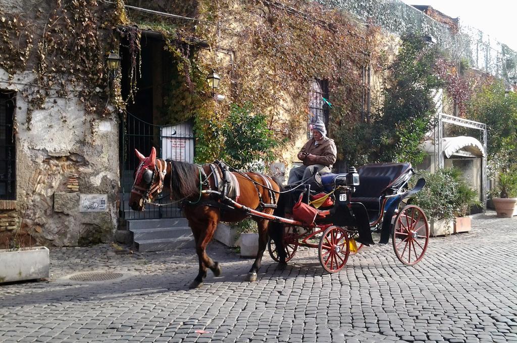 Guest house Hospitales Del Pellegrino - Trastevere