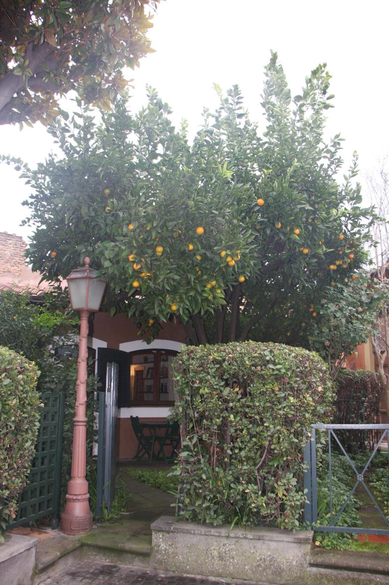 Appartamento Garden Palatino