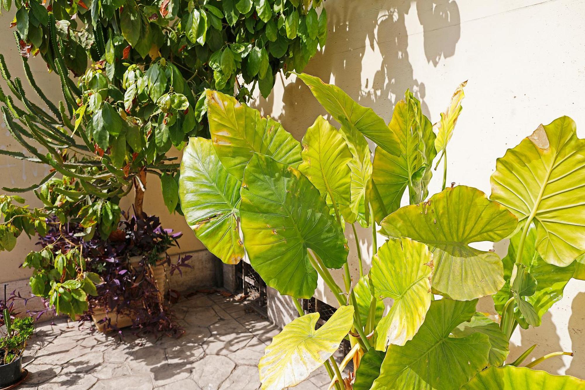 San Martino Bed & Breakfast Rome