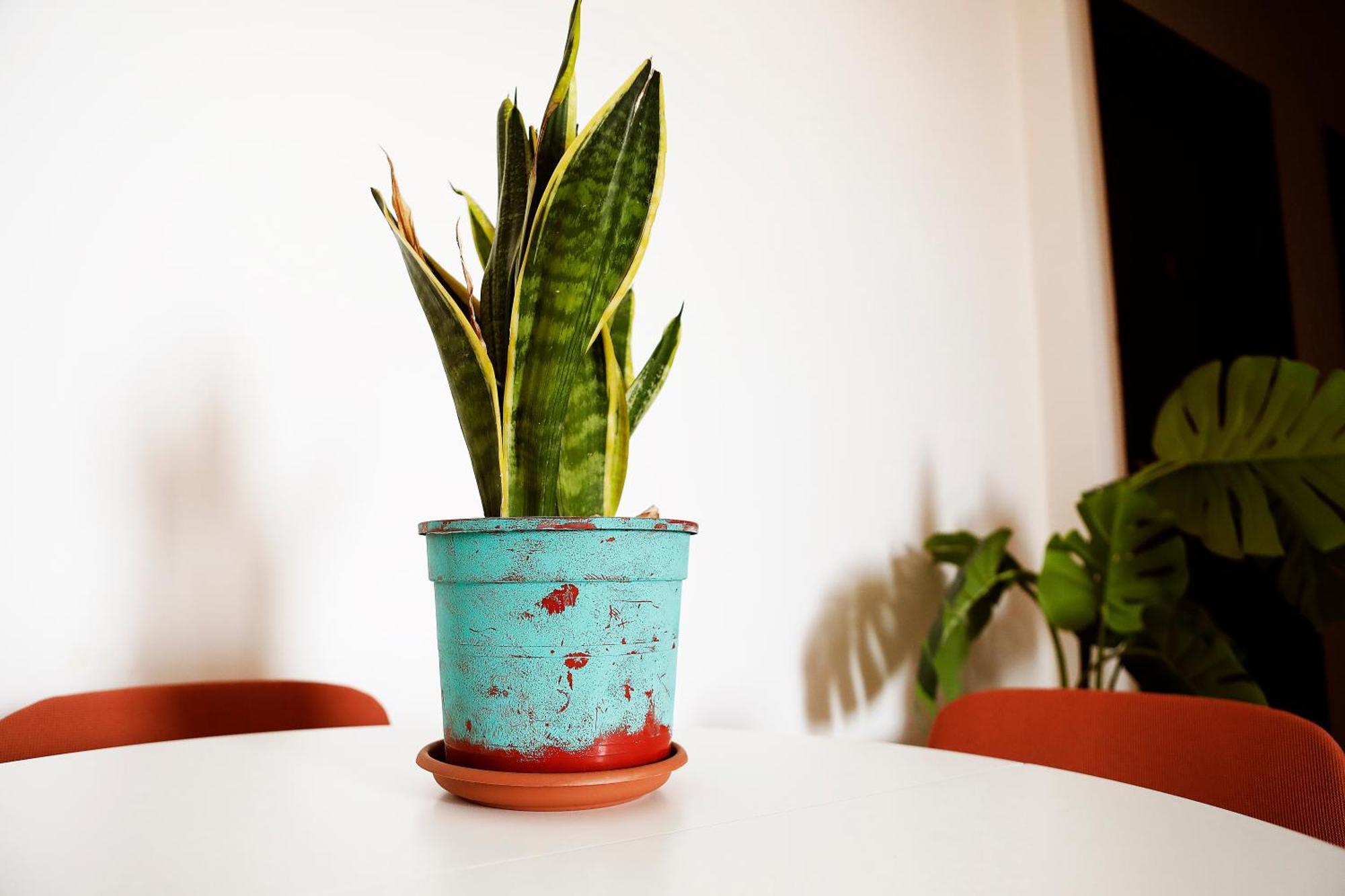 San Martino Bed & Breakfast Rome