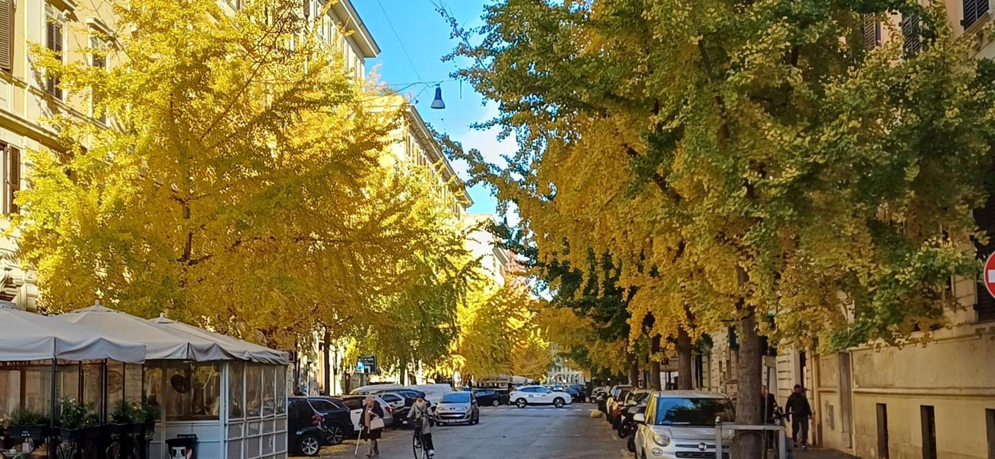 La Casa Dei Papi 71 * Rome