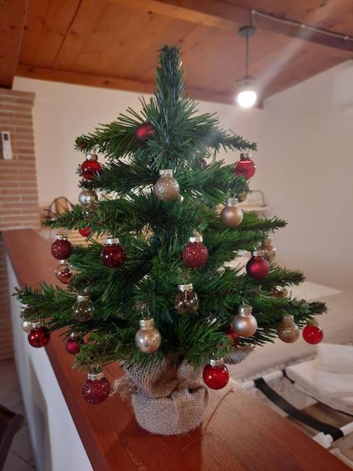 Casa Dantemini Casa Fiera Di Piana Del Solerm Fiumicino Appartement Rome