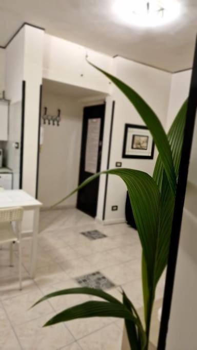 Brik's House Appartement