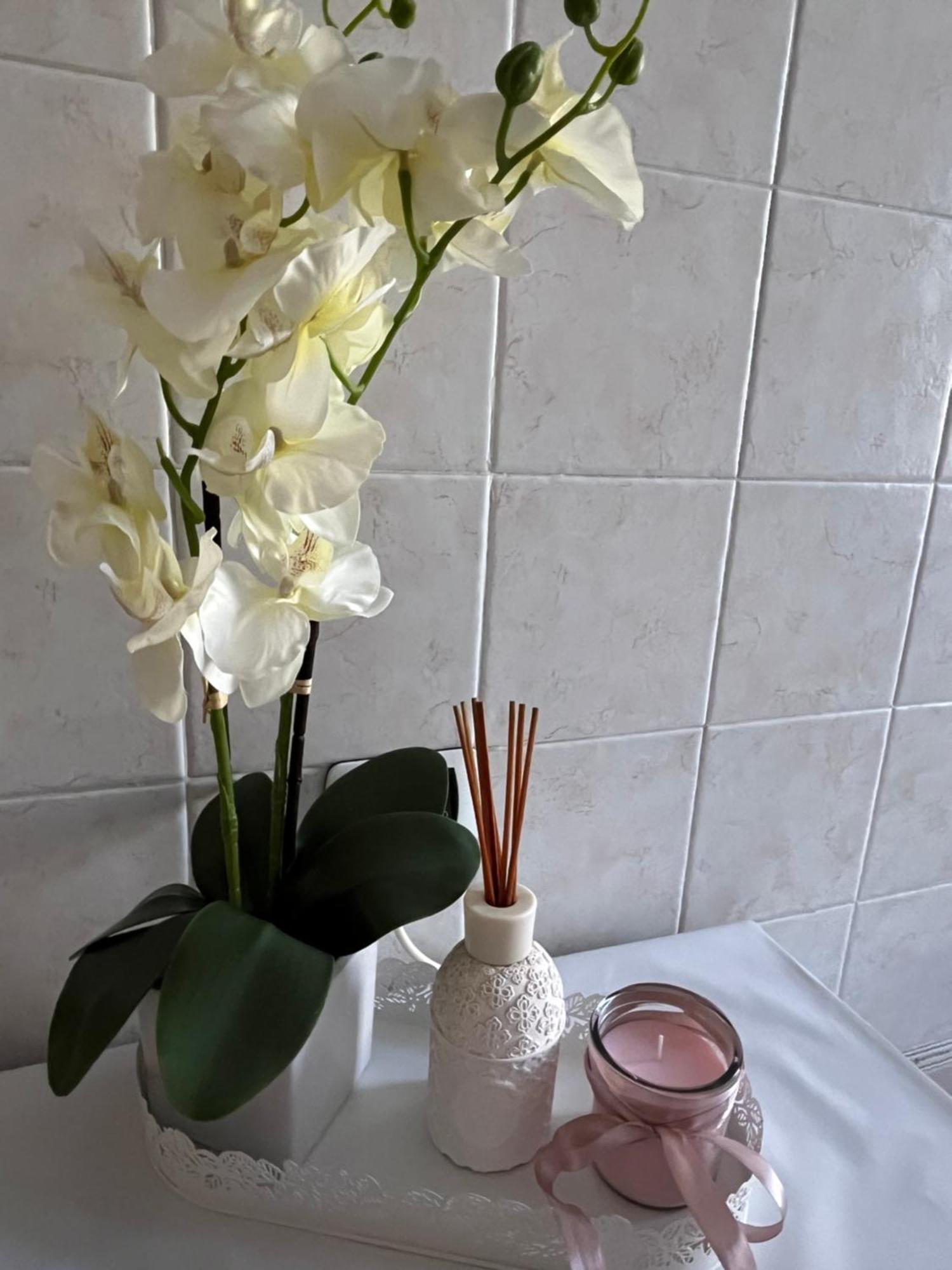 Appartement Alga *