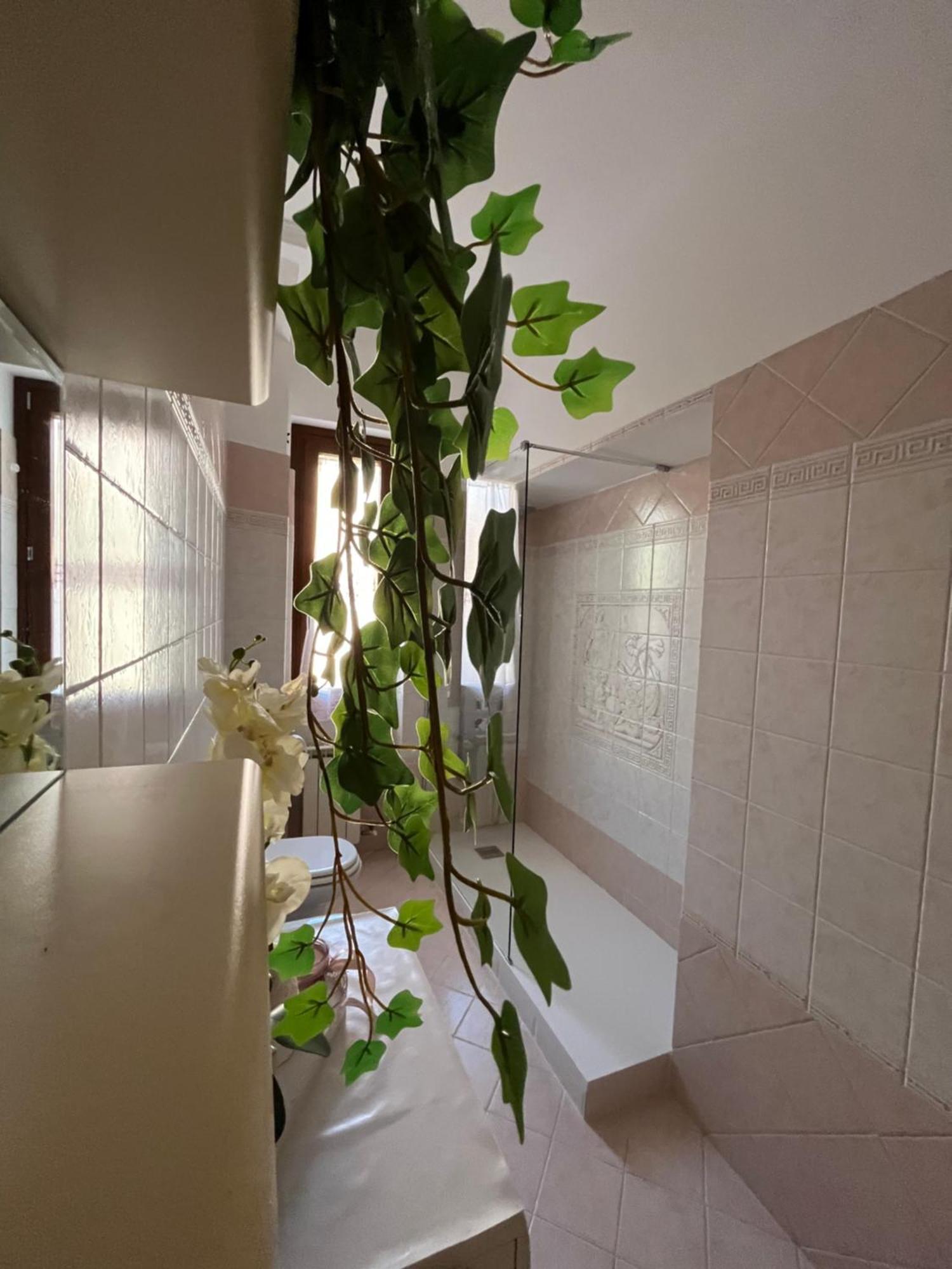 Alga Appartement *