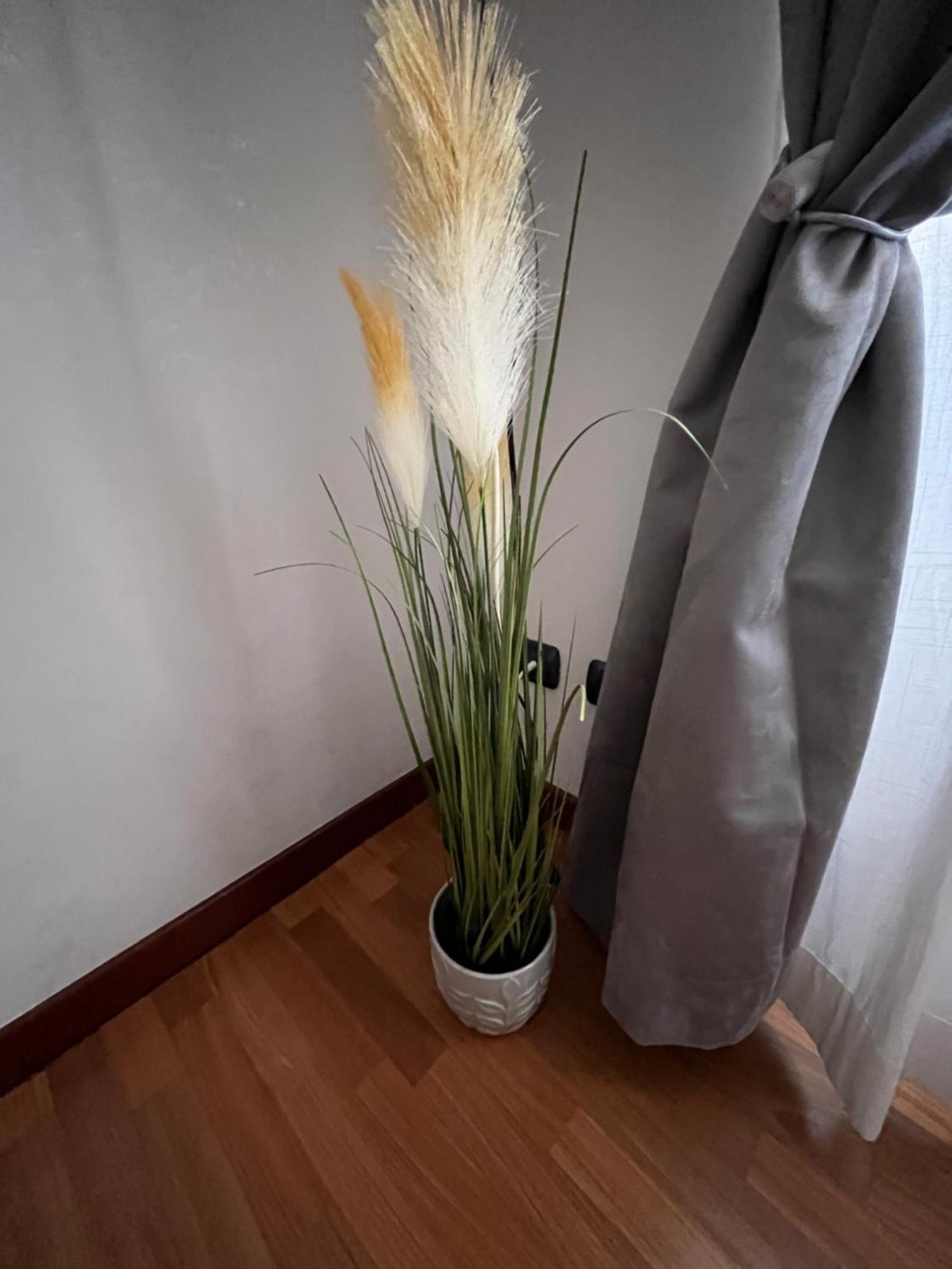 Alga Appartement *