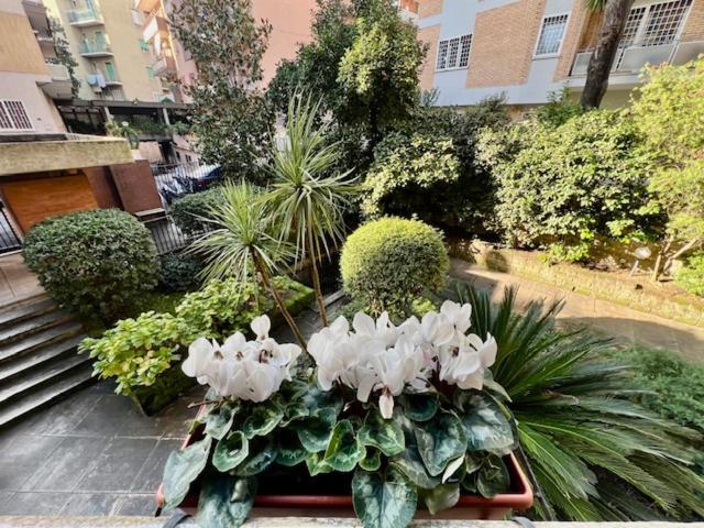 Apartment La Casa Delle Camelie Rome