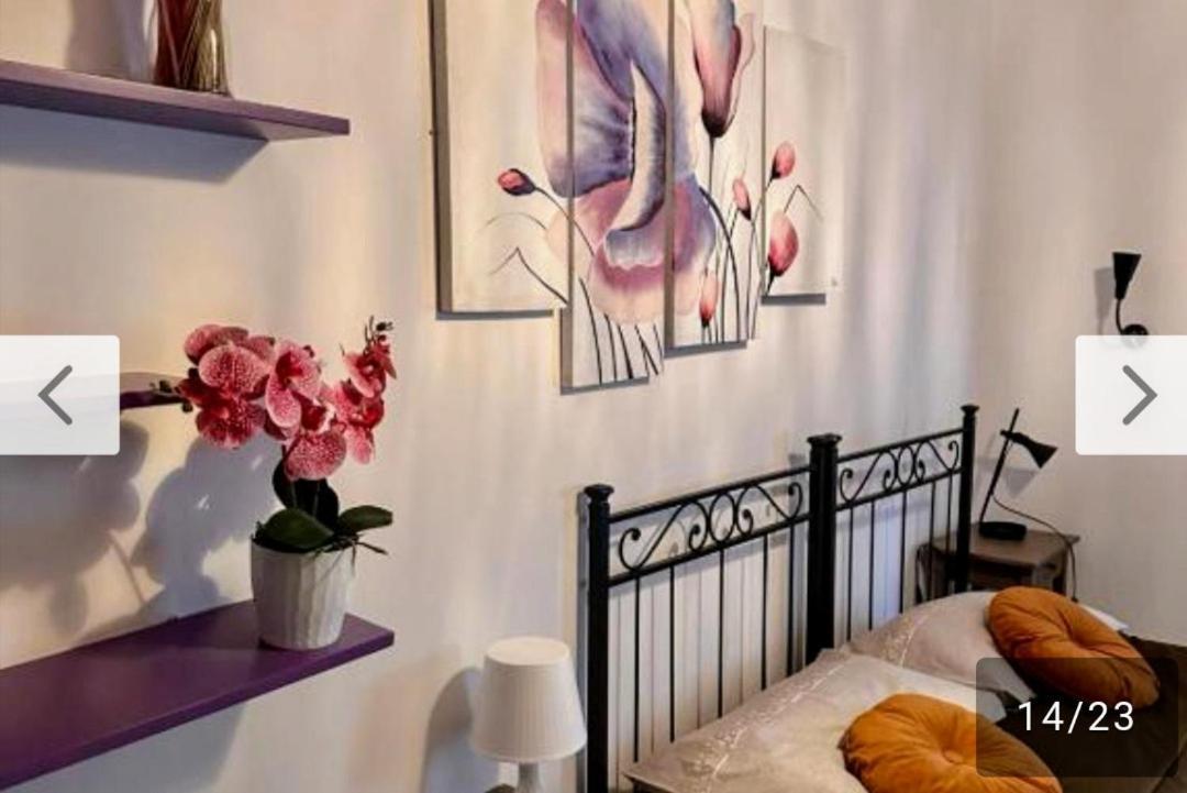 Guest house Romoli Comfort House *