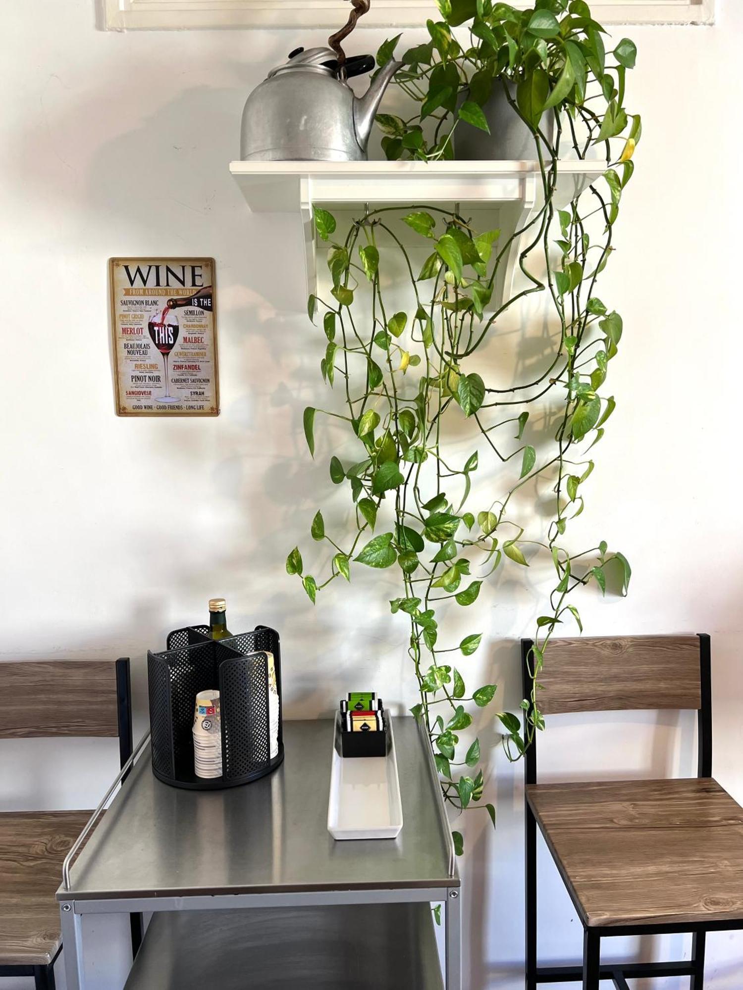 Apartment Eufonia Vinyl Friendly