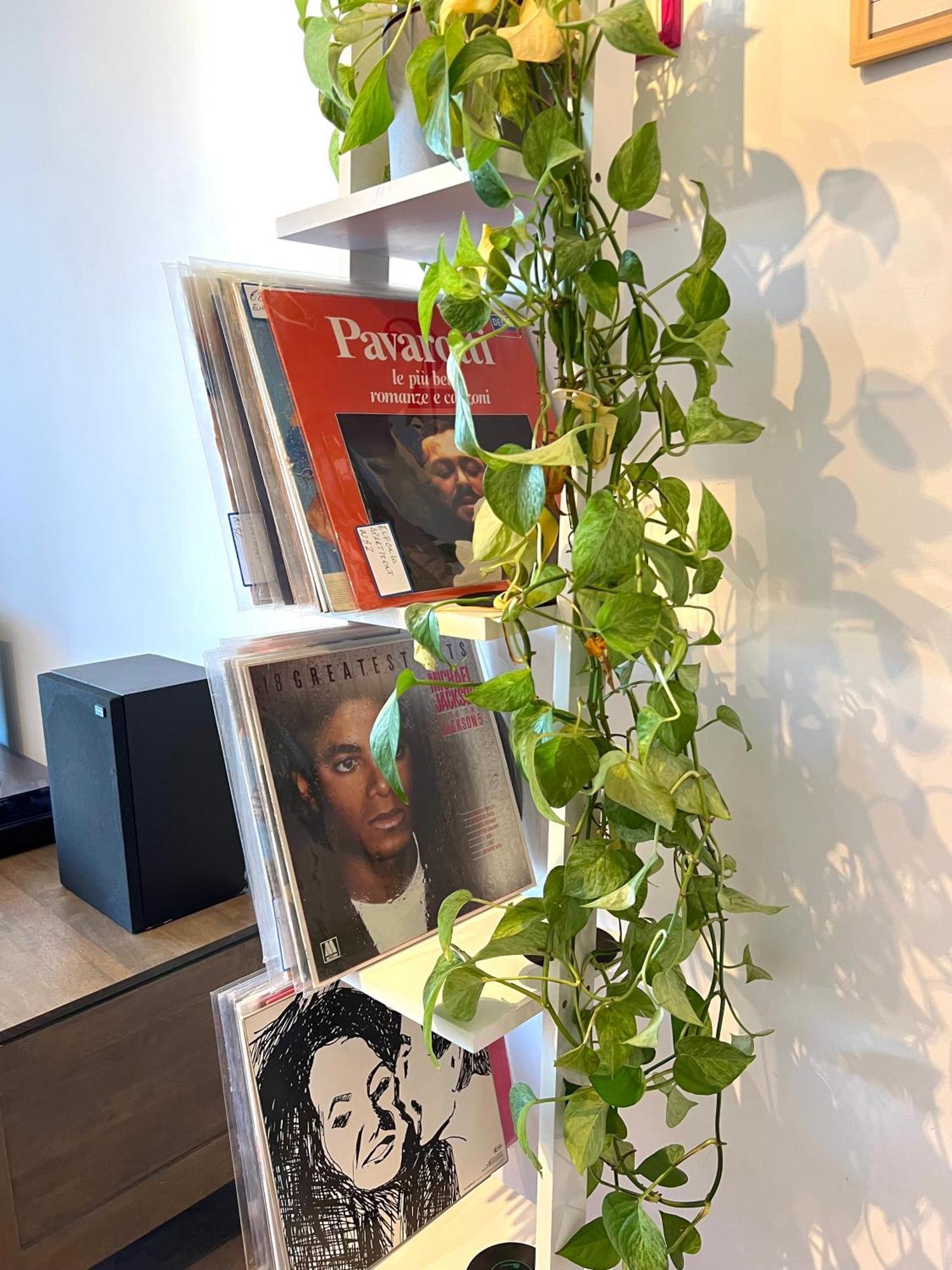 Eufonia Vinyl Friendly Apartment Rome