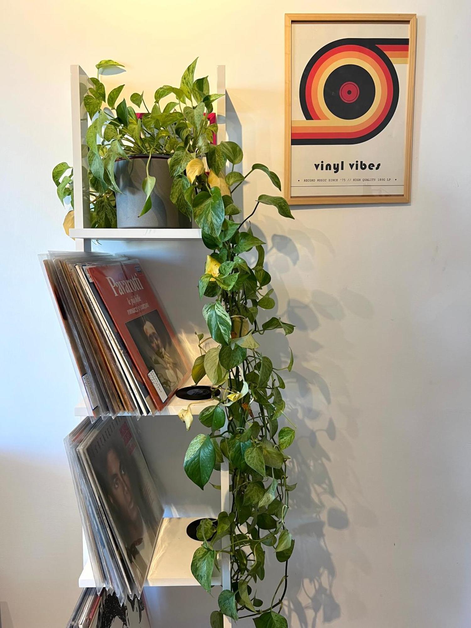 Apartment Eufonia Vinyl Friendly Rome
