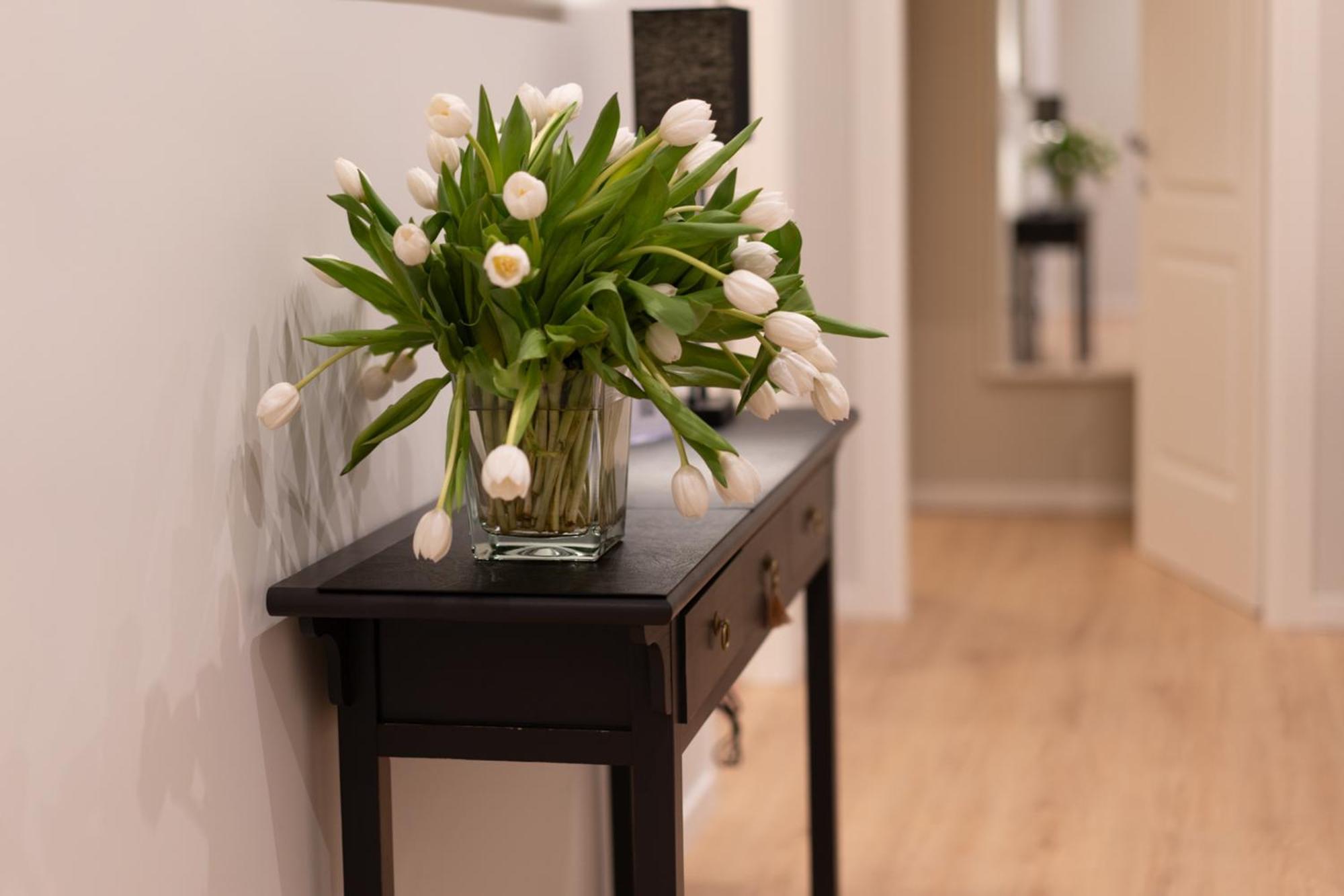 Guest house Residenza Lucrezio Rome