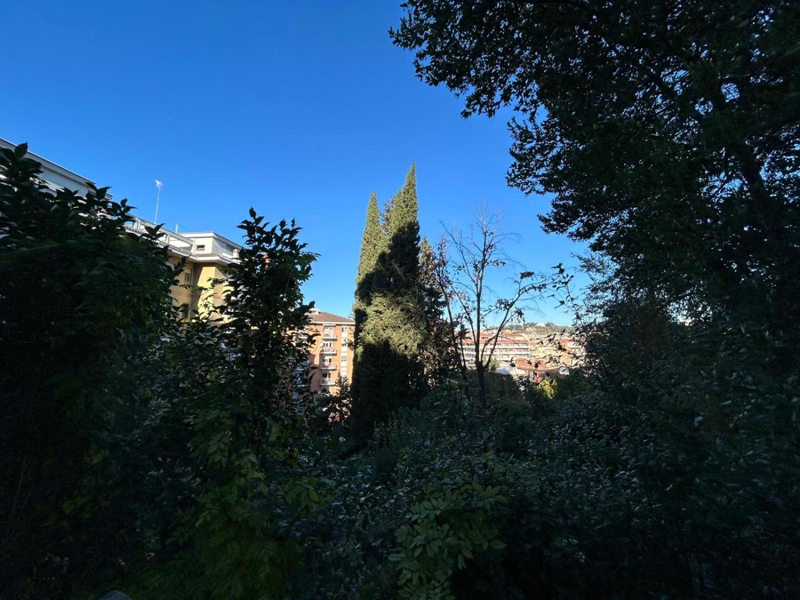 Natura E Vaticano, Bilocale Con Terrazzo, Giubileo Apartment *