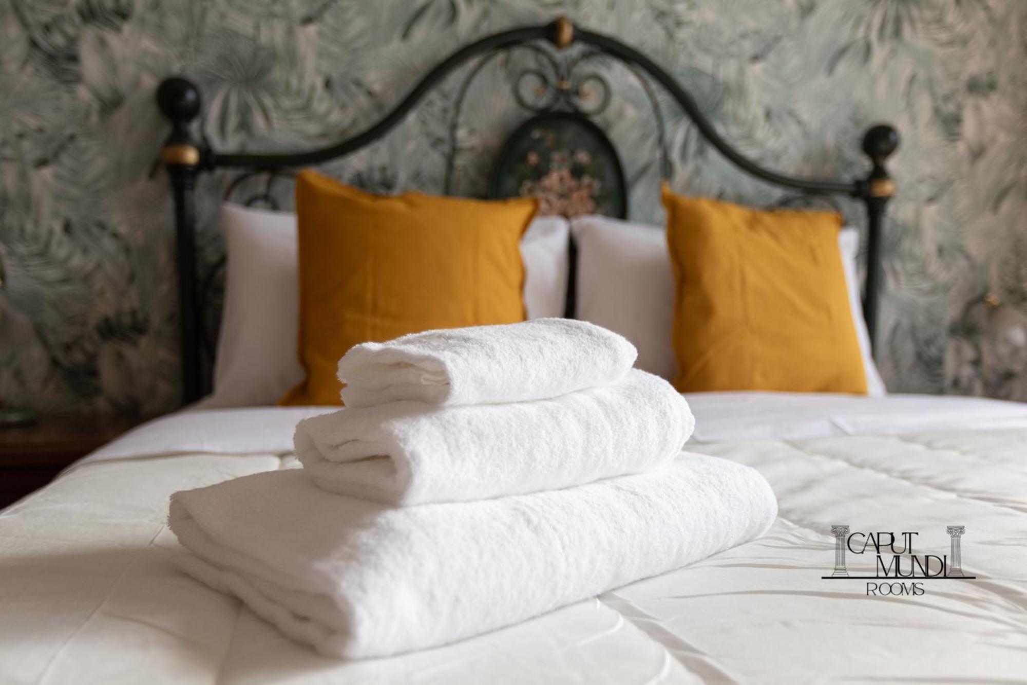 Caput Mundi - 100mt To Metro A, Terrace, A-c, 15 Min To Center Guest house Rome