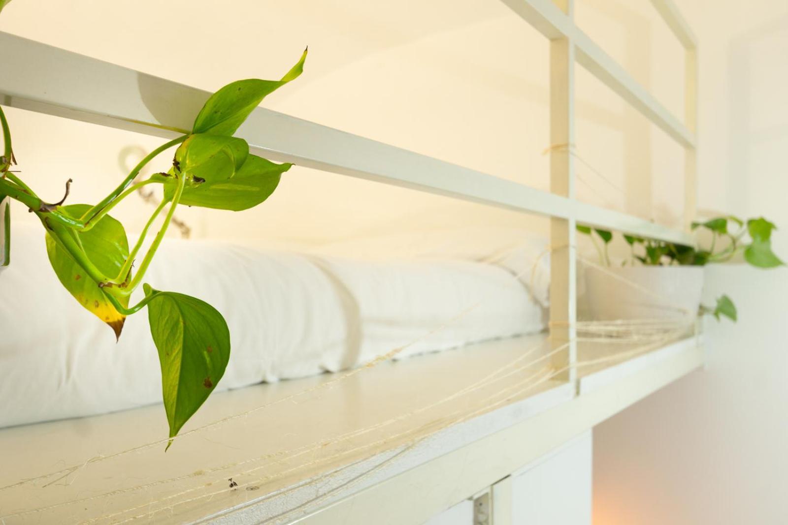 Appartement Cozy Saint John *