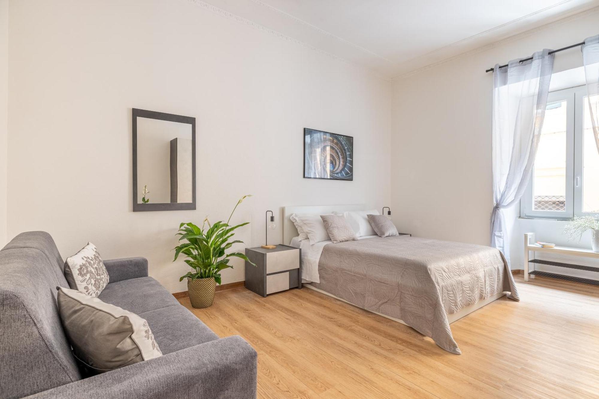 Argilla Place Large Close To Saint Peter Basilica Rome