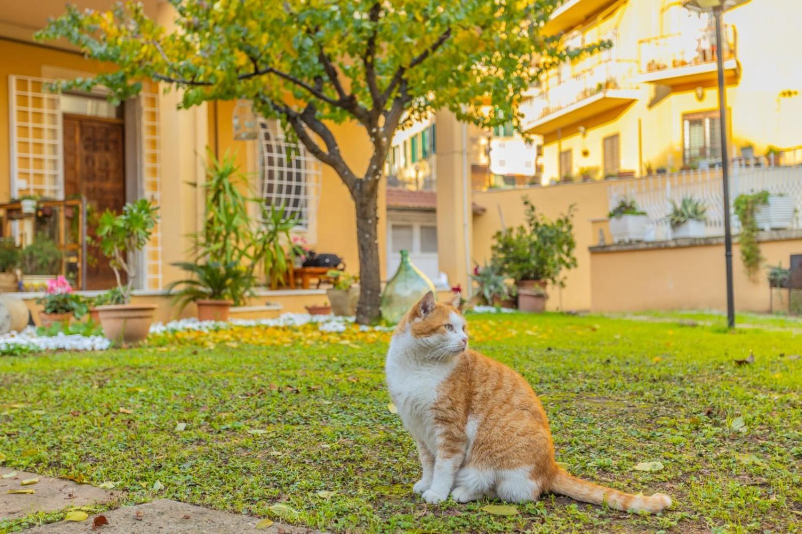 Séjour chez l'habitant Gatta