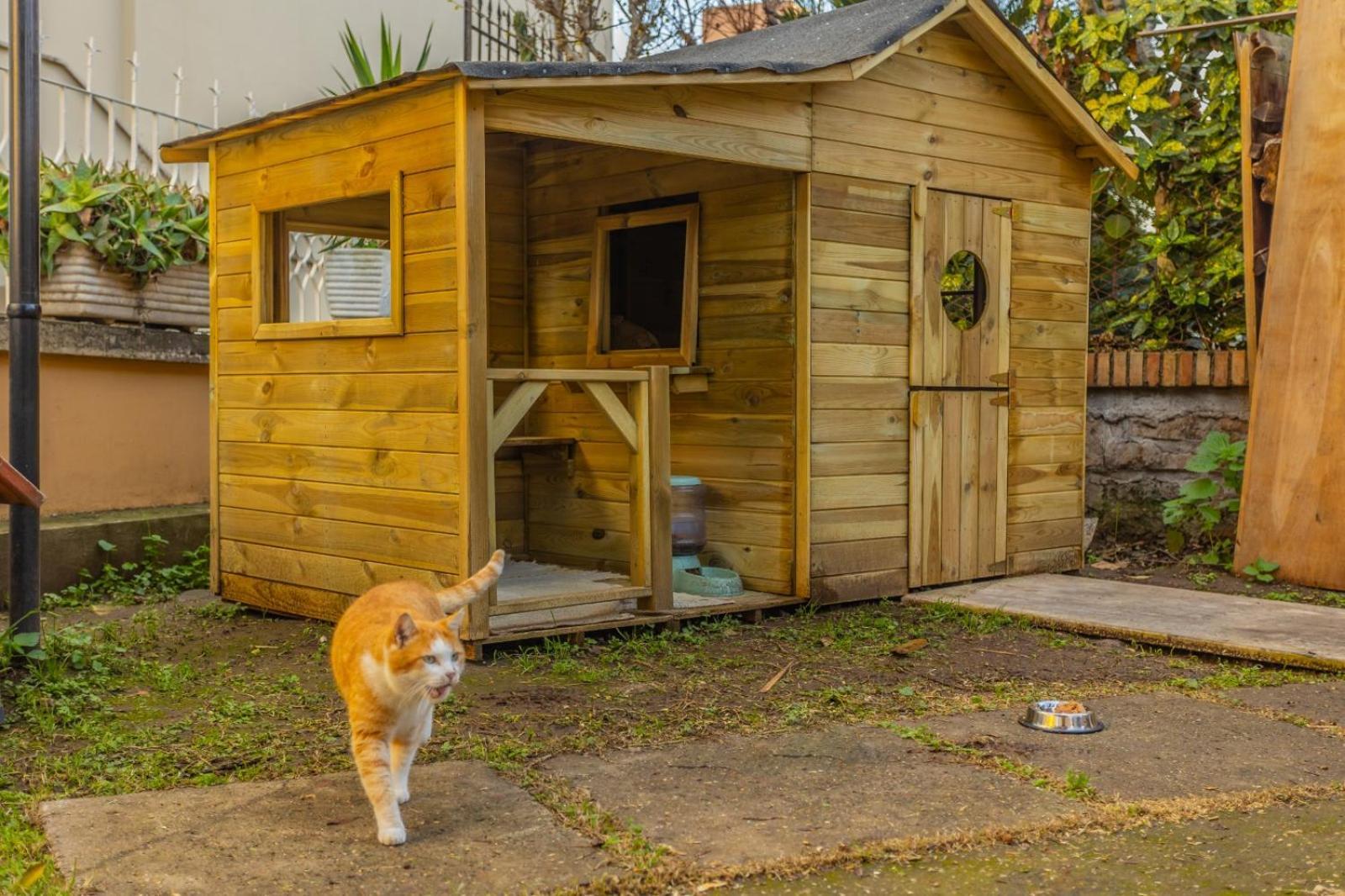 Gatta Séjour chez l'habitant *