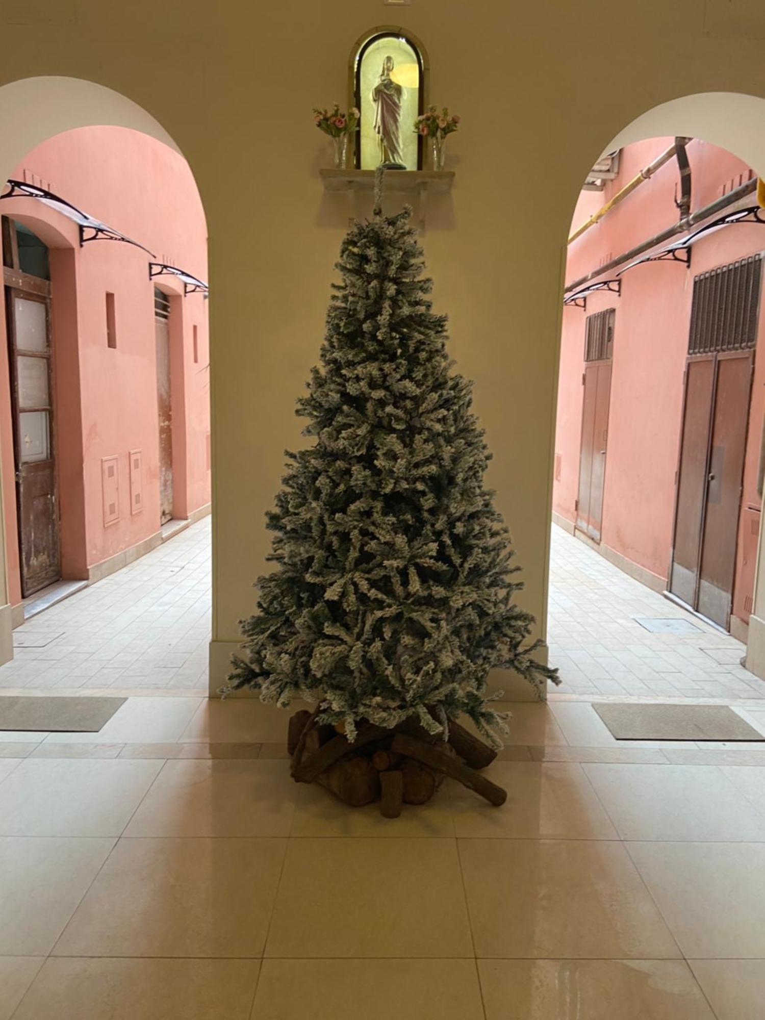 Blue Vatican House Appartamento