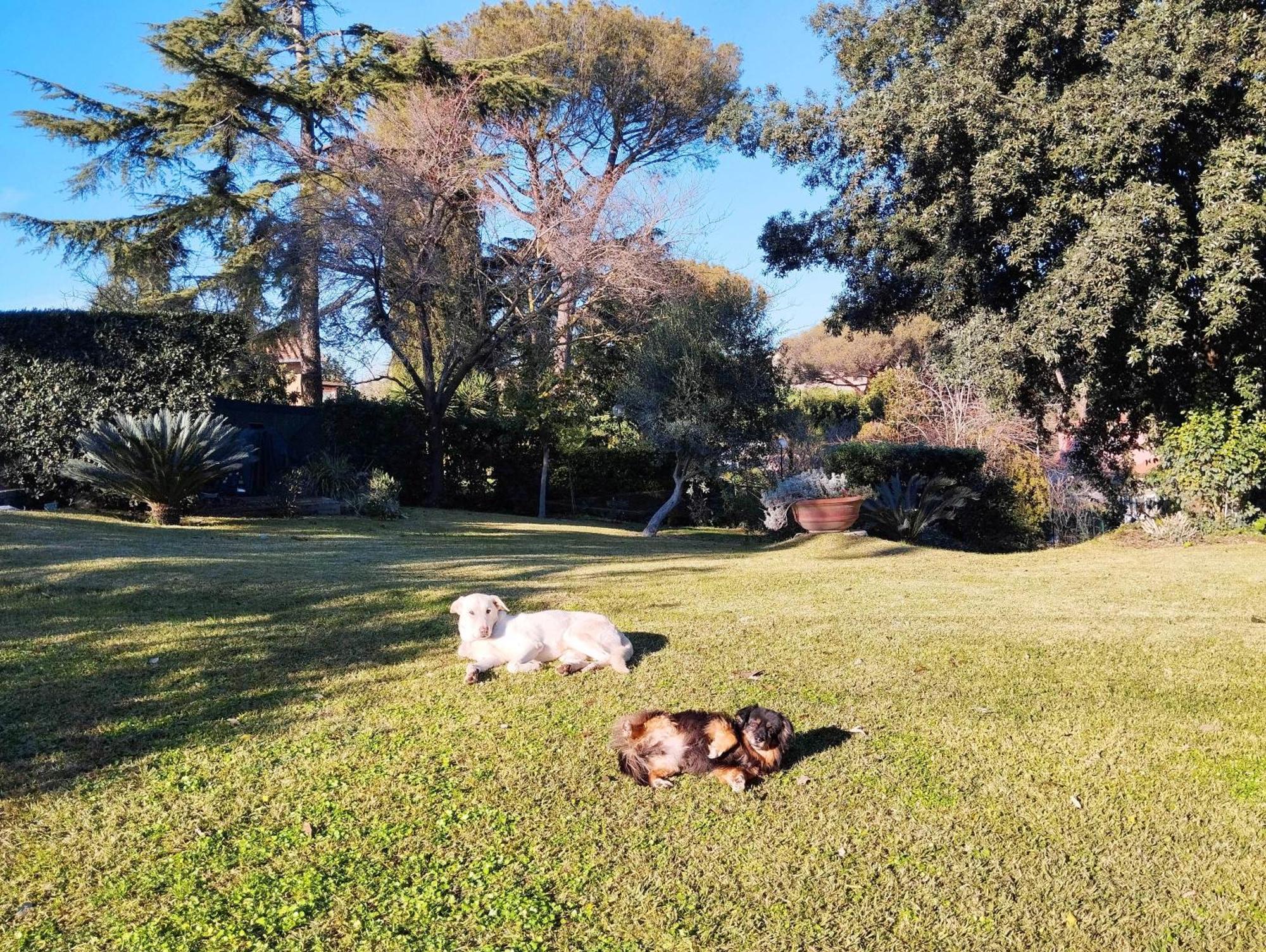 Villa Aureliagreenvilla, #secretplacerome - 4 Bathrooms Rome