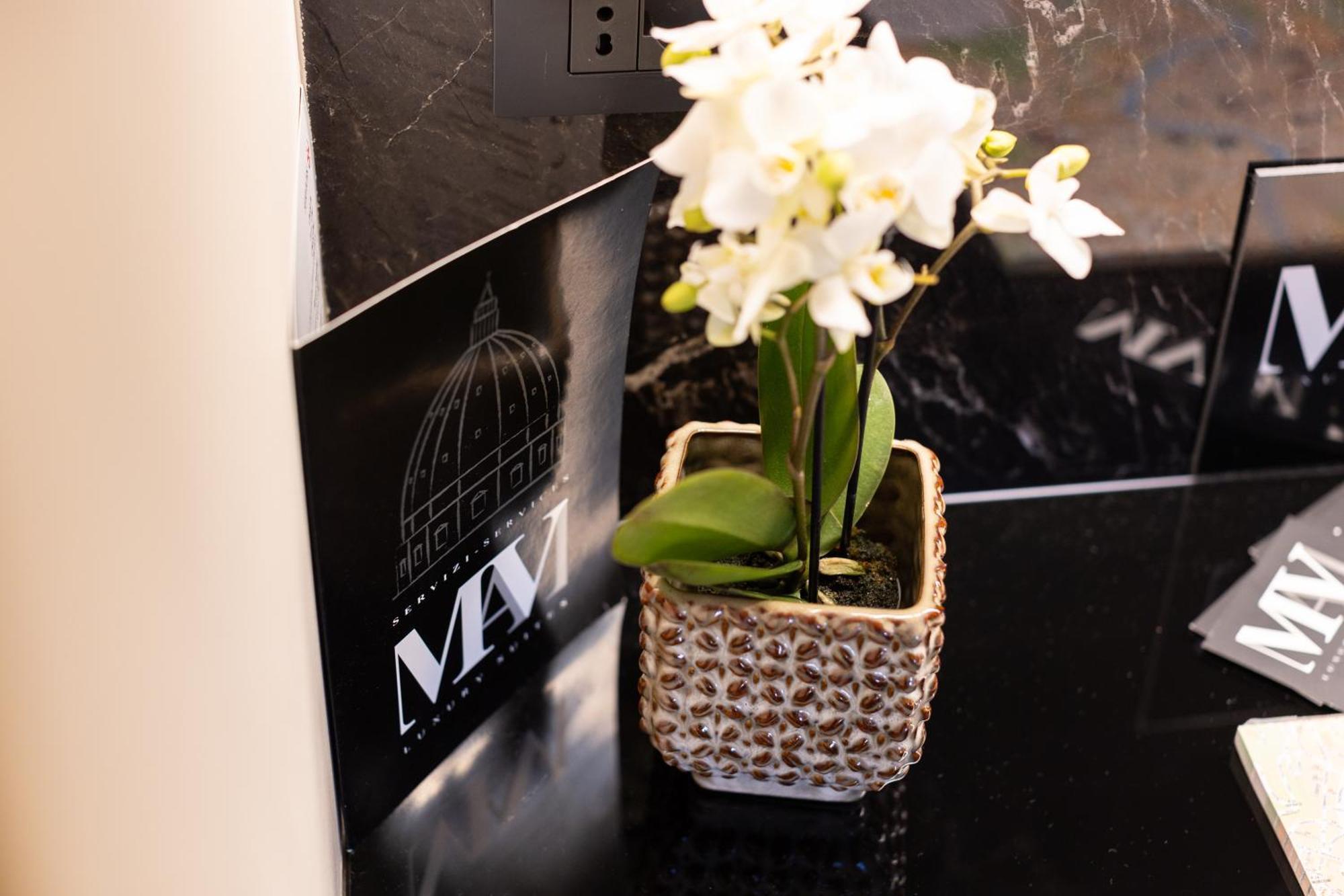 Bed & Breakfast Mavi Luxury Rome