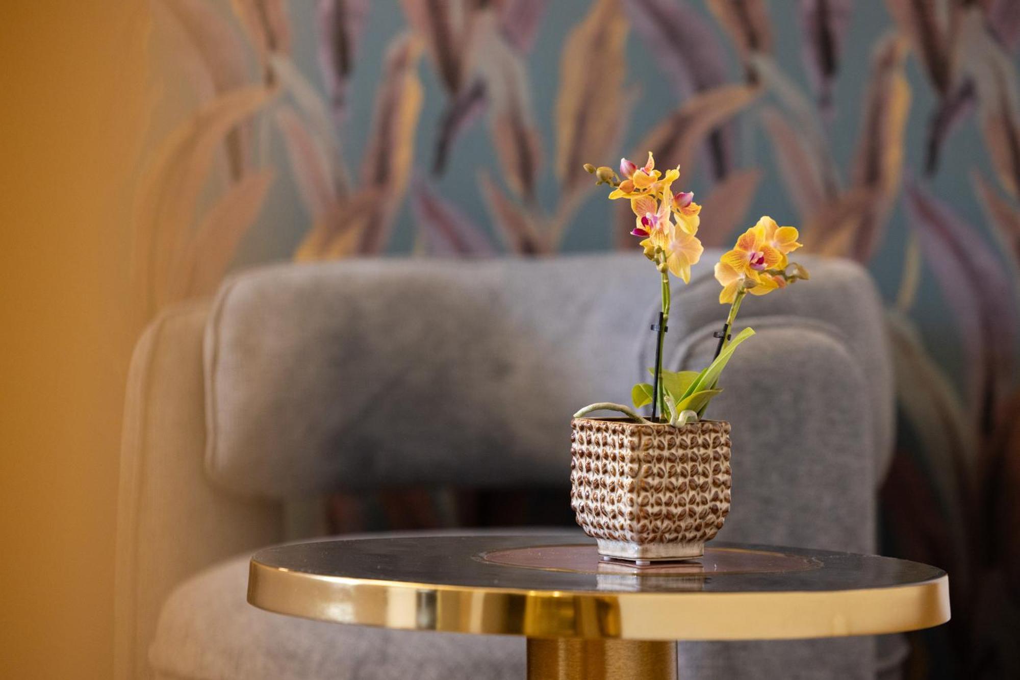 Mavi Luxury Bed & Breakfast