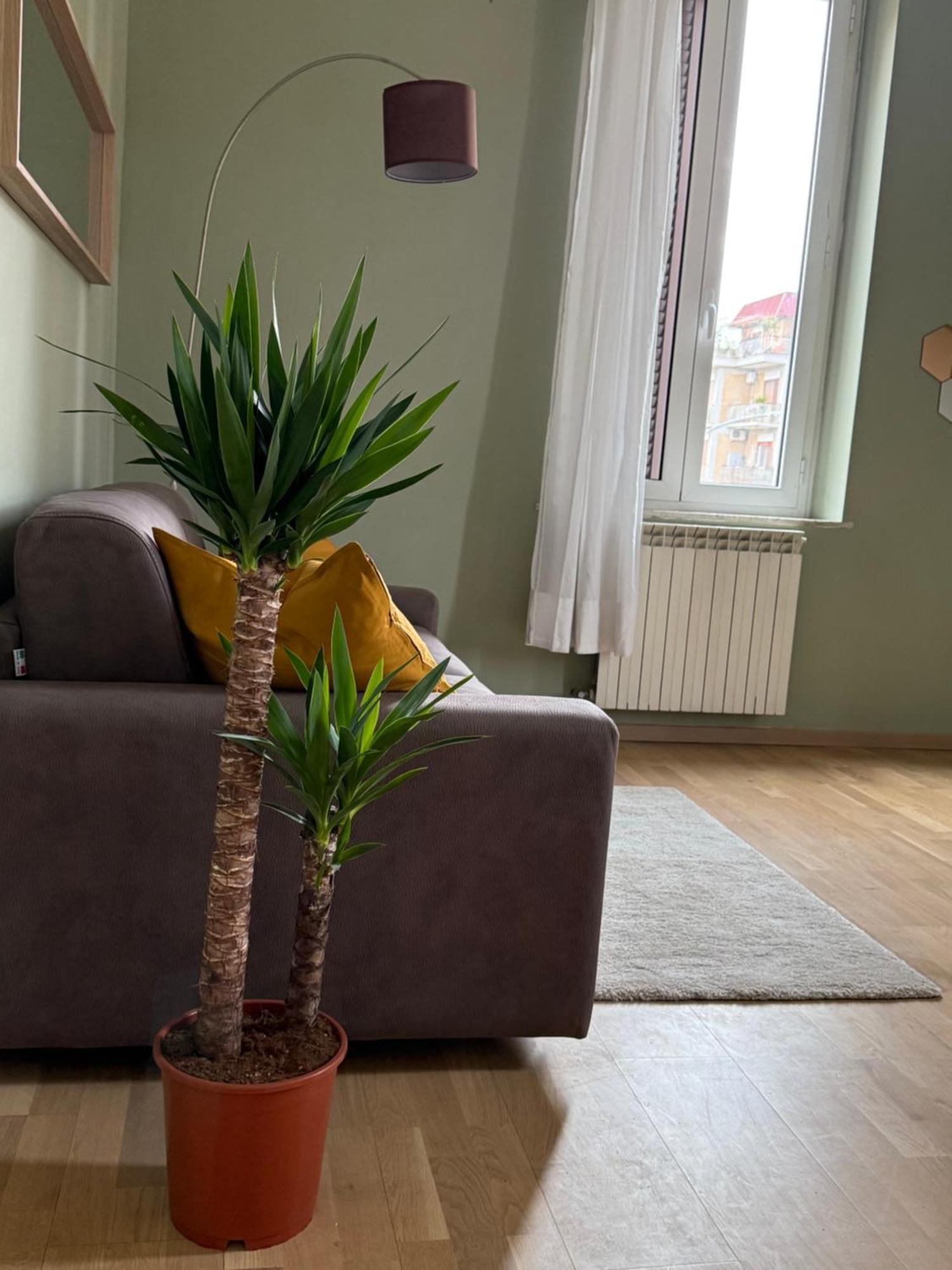 The Beauty House Holiday home Rome