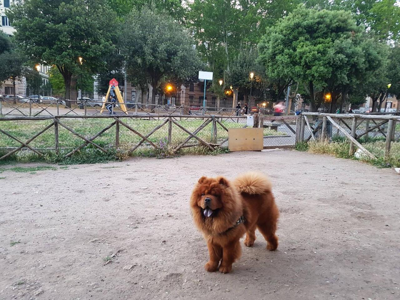 La Dolce 3*