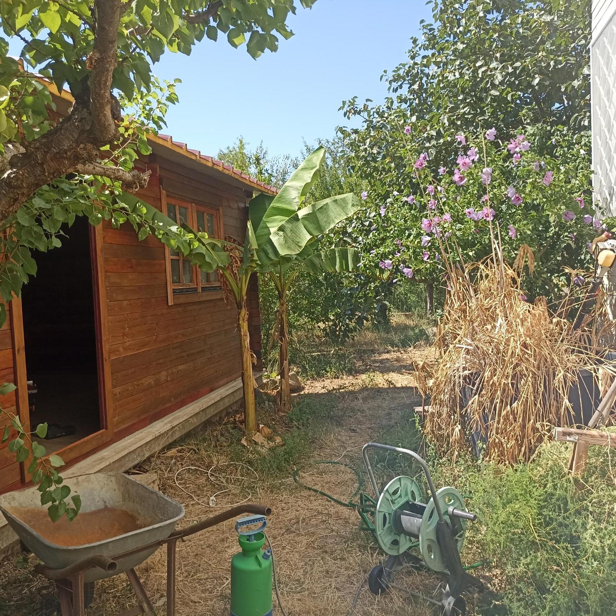 Ripe'S Forest Garden Guest House Casa de hóspedes