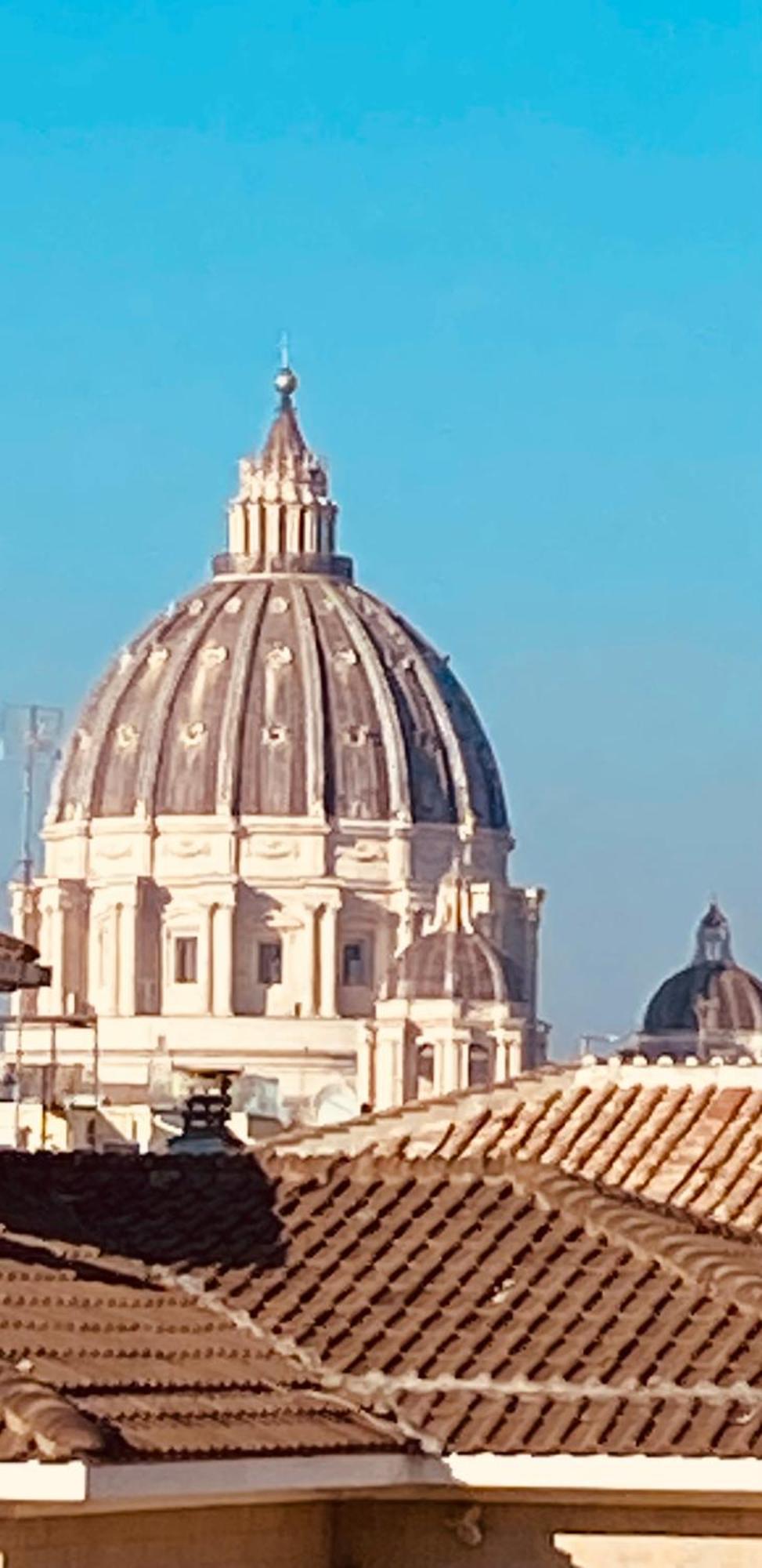 Domes St Peter Vatican 