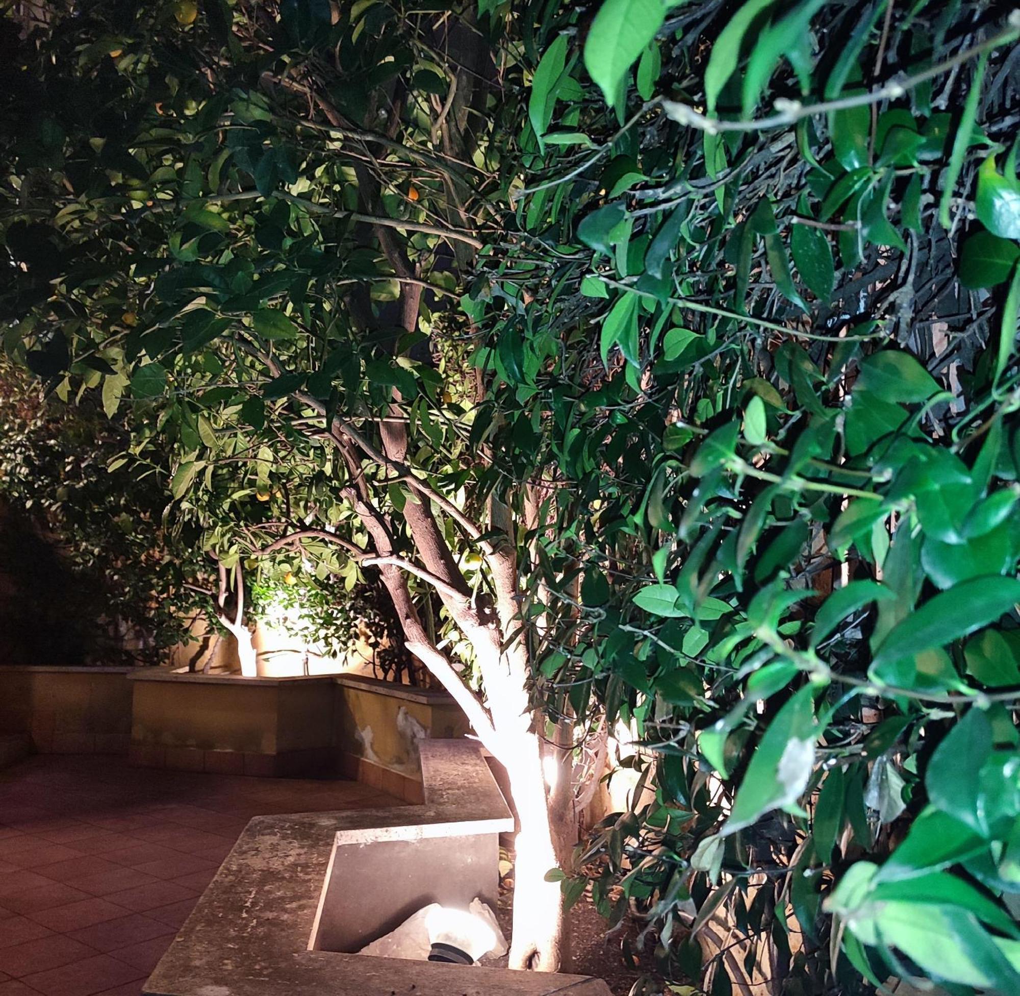 Casa Cartoni Apartment Rome