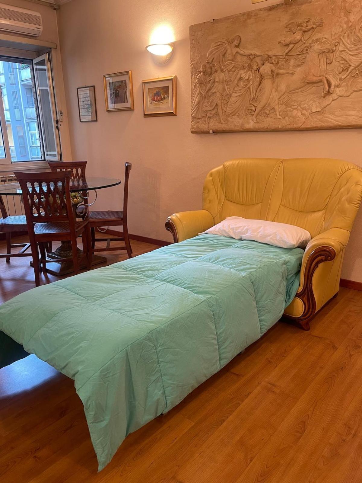 Luxury Emy Apartment