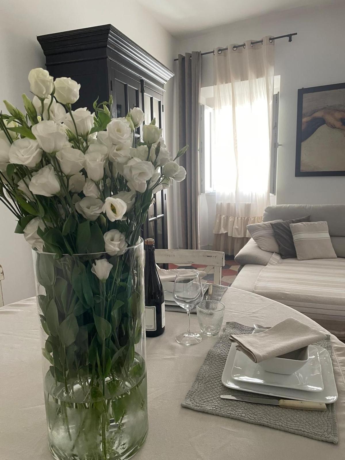 Luxury Navona *