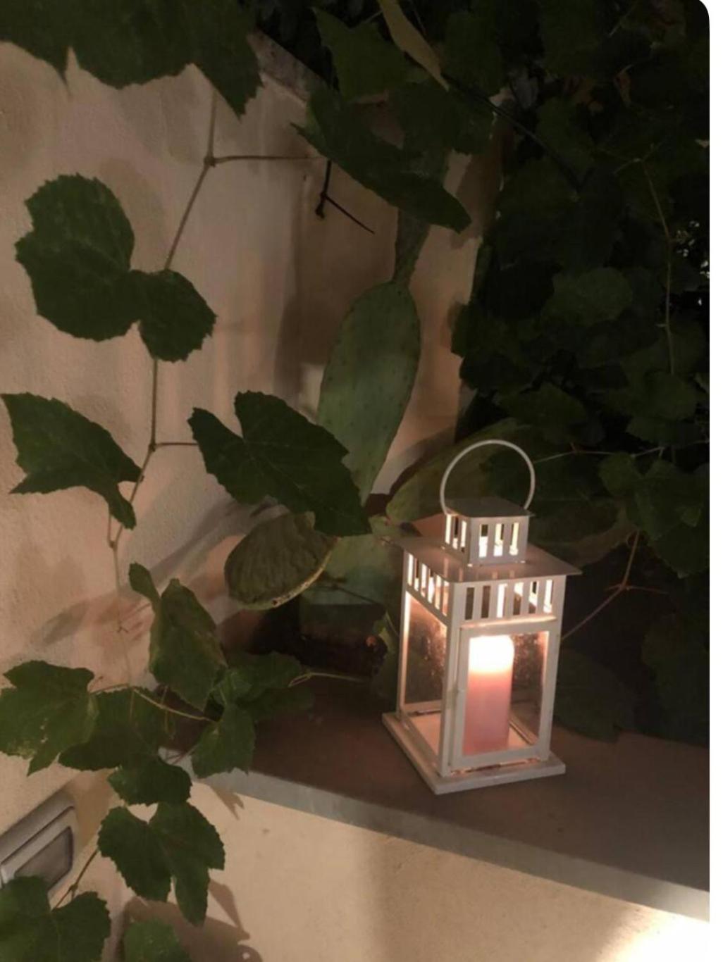 Testaccio Historic House *